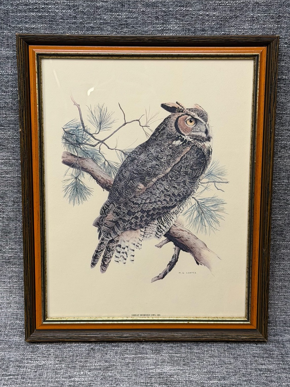 Vintage Framed Great Horned Owl Print By Canadian Wildlife Artist M.G Loates